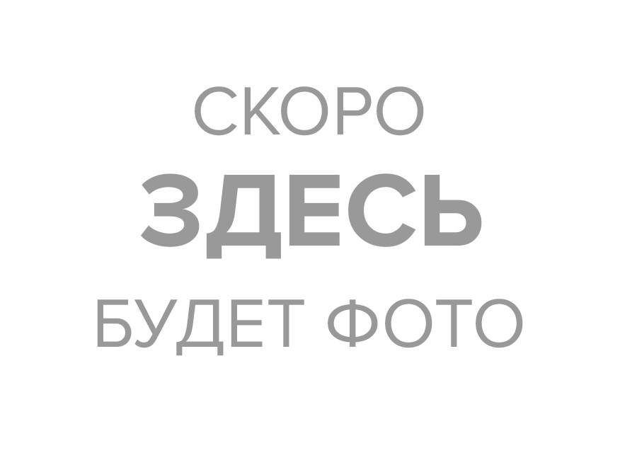Шток РЦС (ремкомплект) 3151-1602520